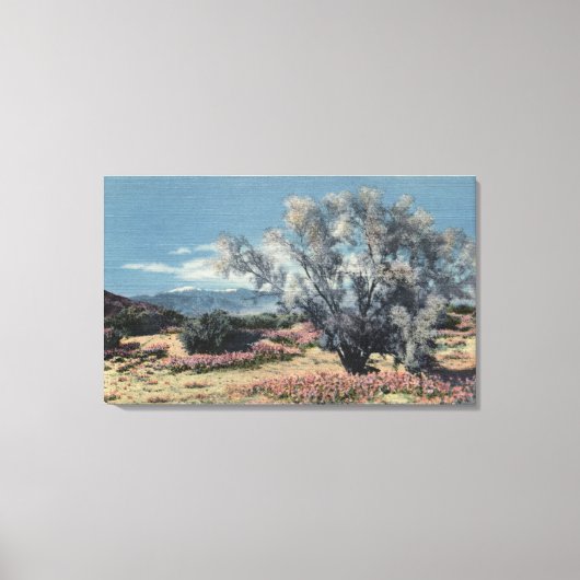 San Gorgonio Uitzicht, Rookbomen Canvas Afdruk (Voorkant)