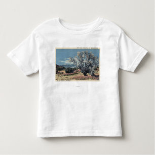 San Gorgonio Uitzicht, Rookbomen Kinder Shirts