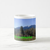 San Gorgonio Wilderness Koffiemok (Center)
