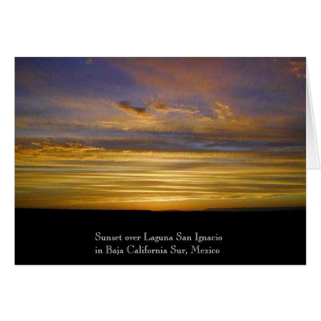 San Ignacio Lagoon Sunset (Voorkant Horizontaal)