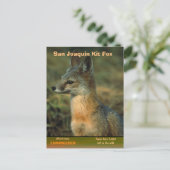 San Joaquin Kit Fox wordt bedreigd Feestdagenkaart (Staand voorkant)