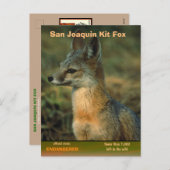 San Joaquin Kit Fox wordt bedreigd Feestdagenkaart (Voorkant / Achterkant)