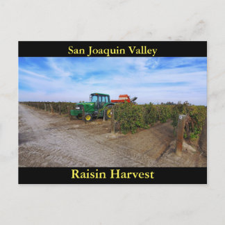 San Joaquin Valley Raisin Harvest Briefkaart