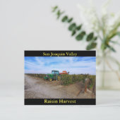 San Joaquin Valley Raisin Harvest Briefkaart (Staand voorkant)