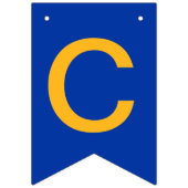 San Jose State Spartans Vlaggetjes (Tweede vlag)