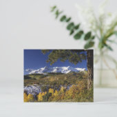 San Juan-bergen en -bomen in kleur Briefkaart (Staand voorkant)