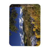 San Juan-bergen en -bomen in kleur Magneet (Verticaal)