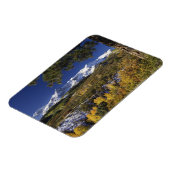 San Juan-bergen en -bomen in kleur Magneet (Linkerzijde)