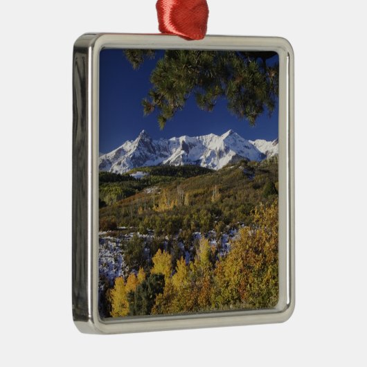 San Juan-bergen en -bomen in kleur Metalen Ornament (Rechts)