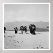 San Juan Chamula, Chiapas, Mexico Poster (Voorkant)