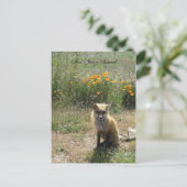 San Juan Island Fox Briefkaart (Staand voorkant)