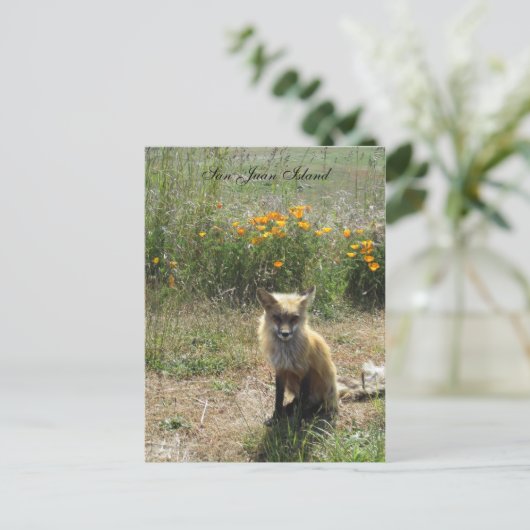 San Juan Island Fox Briefkaart (Staand voorkant)