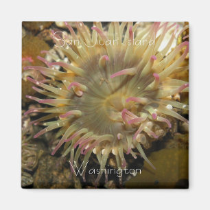 San Juan Island, Washington Magneet