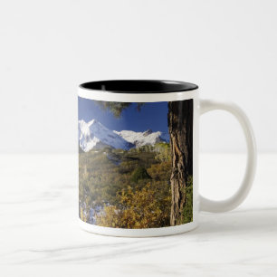 San Juan Mountains en Espenbomen in herfstkleuren Tweekleurige Koffiemok