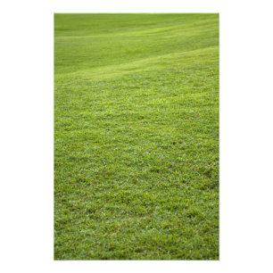 San Juan, Puerto Rico - Groen gras is Foto Afdruk