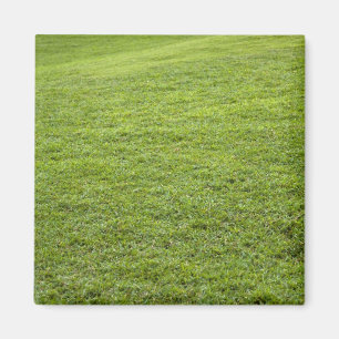 San Juan, Puerto Rico - Groen gras is Magneet