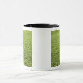 San Juan, Puerto Rico - Groen gras is Mok (Midden)