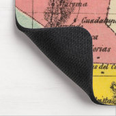 San Luis Potosi, Mexico Muismat (Hoek)