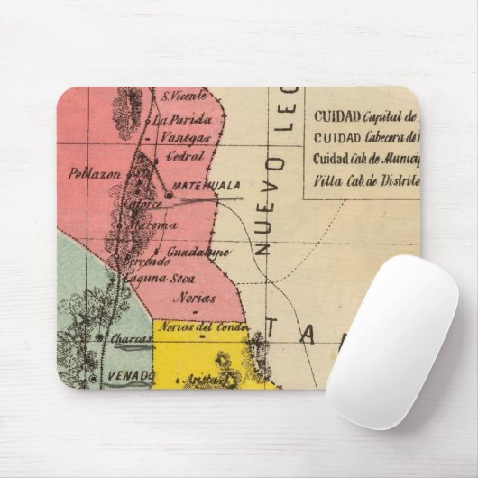 San Luis Potosi, Mexico Muismat (Met muis)