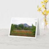 San Miguel-klooster boven papegaaiveld Kaart (Gele Bloem)