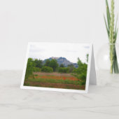 San Miguel-klooster boven papegaaiveld Kaart (Voorkant)