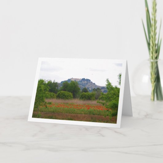 San Miguel-klooster boven papegaaiveld Kaart (Voorkant)