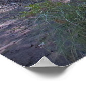 San Pedro bij Fairbank Poster (Hoek)