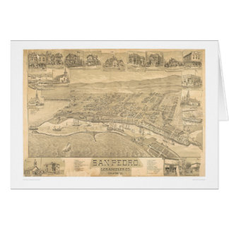 San Pedro, CA. Panoramische kaart 1895 (1319A)