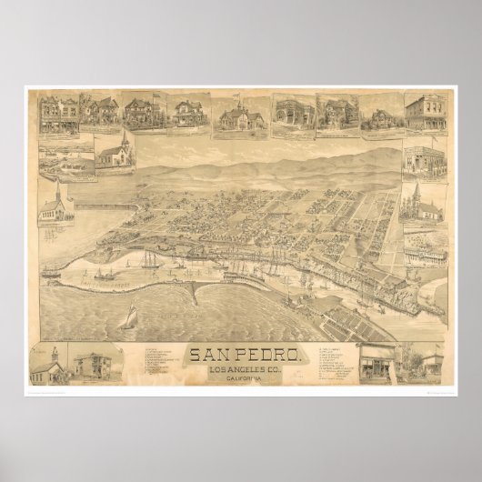 San Pedro, CA. Panoramische kaart 1895 (1319A) Poster (Voorkant)