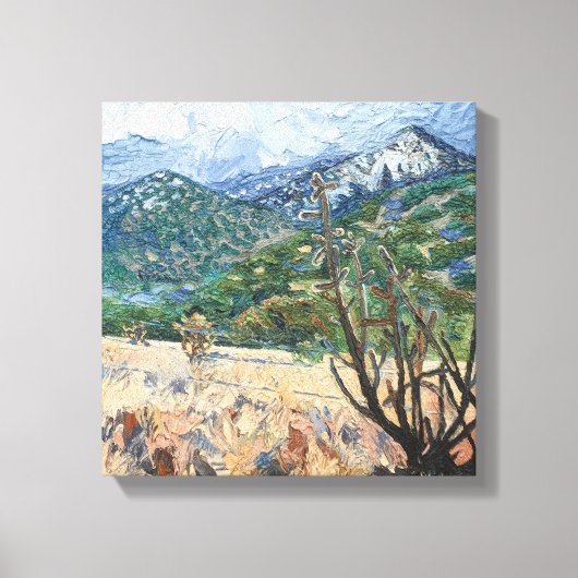 San Pedro Mountains Muur Canvas (Voorkant)