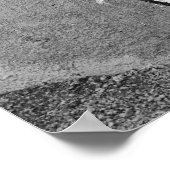 San Pedro Octopus Street Art Poster (Hoek)