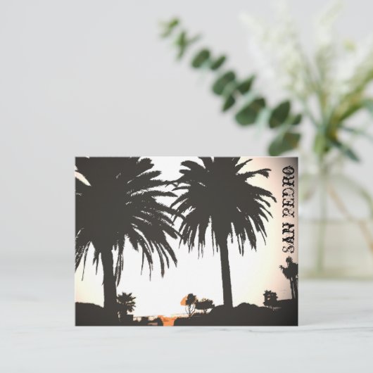 San Pedro Royal Palms Briefkaart (Staand voorkant)