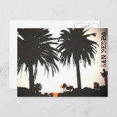 San Pedro Royal Palms Briefkaart (Voorkant / Achterkant)