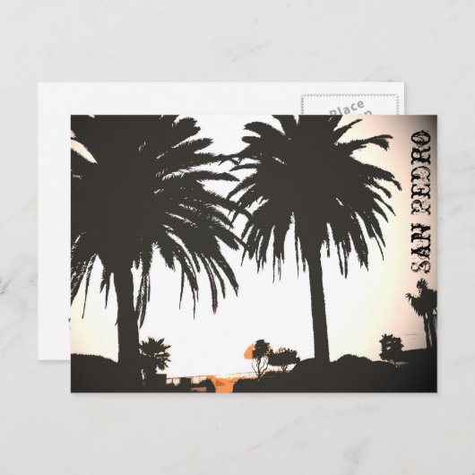 San Pedro Royal Palms Briefkaart (Voorkant / Achterkant)