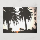 San Pedro Royal Palms Briefkaart (Voorkant)