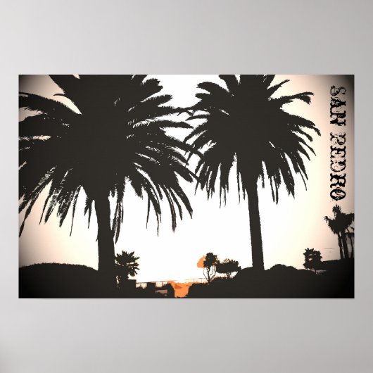 San Pedro Royal Palms Poster (Voorkant)