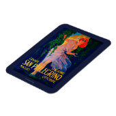 San Pellegrino posterEuropa Magneet (Linkerzijde)