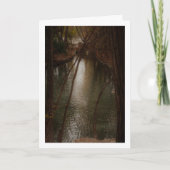 San Vicente Park Lake, Lliria, Valencia Kaart (Voorkant)