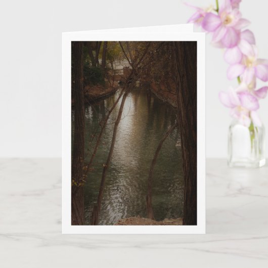 San Vicente Park Lake, Lliria, Valencia Kaart (Orchidee)