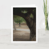 San Vicente Park Lliria Kaart (Voorkant)