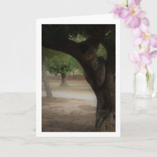 San Vicente Park Lliria Kaart