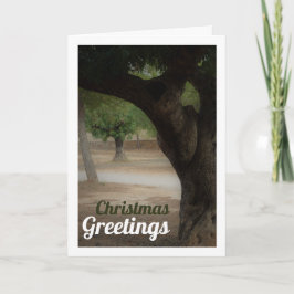 San Vicente Park Lliria Kaart