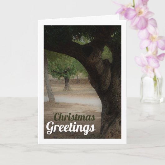 San Vicente Park Lliria Kaart (Orchidee)