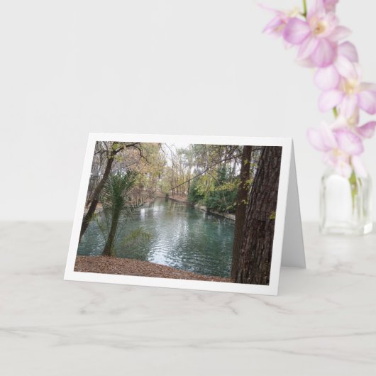 San Vicente Park, Lliria, Valencia, Spanje Kaart (Orchidee)