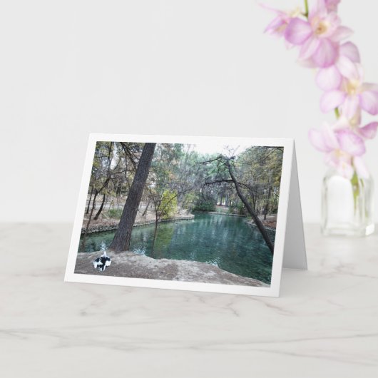 San Vicente Park, Lliria, Valencia, Spanje Kaart (Orchidee)