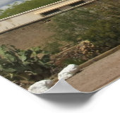 San Xavier Mission Poster (Hoek)