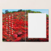 SANADA YUKIMURA 箔 カ ー ド FOLIE KAARTEN (Binnen)