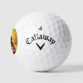 SANADA YUKIMURA GOLFBALLEN (Logo)