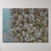 Sanatoga Bossen Schuylkill Poster (Voorkant)