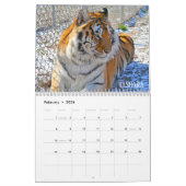 Sanctiecalender 2019 voor dieren in Cedarhill Kalender (Feb 2026)